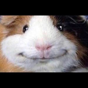 Meet your Posher, Gianni